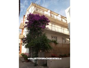 Apartmány Zuban