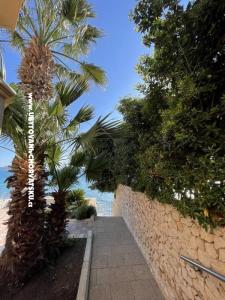 Apartmány Šime Bibinje Chorvatsko