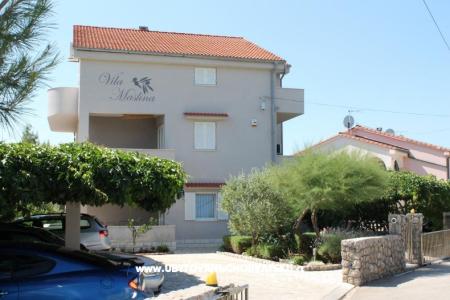 Apartmány Vila Maslina ostrov Krk Chorvatsko