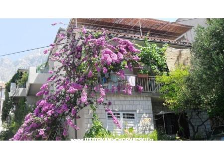 Apartmány KATE Makarska Chorvatsko