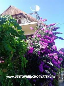 Dům Marino Marina – Trogir Chorvatsko