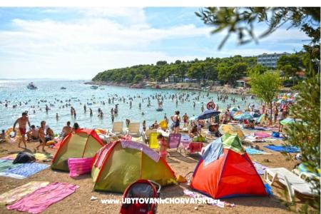 Kemp Rehut Murter Slanica Murter Chorvatsko