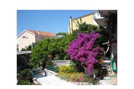 Apartmány - Minka i Vite Podgora Chorvatsko