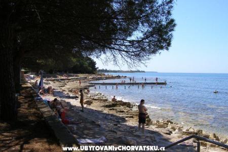 Apartmány San Pelegrin Umag Chorvatsko