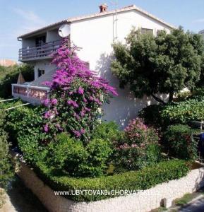 Villa IBIS Zadar Chorvatsko