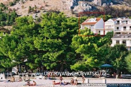 Apartmány Ajduk Živogošče Chorvatsko